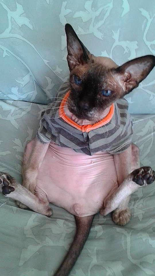 Zak is registered to the contest to win money with this photo: