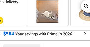 Curly is registered to the contest to win money with this photo: amazon_prime, app_screenshot, button, cardboard_box, cat_in_box, delivery_time, digital_interface, icon, navigation_bar, notification_icon, online_shopping, order_page, pet, profile_name, shopping_cart, smartphone_screen, status_bar, text, user_interface, white_cat