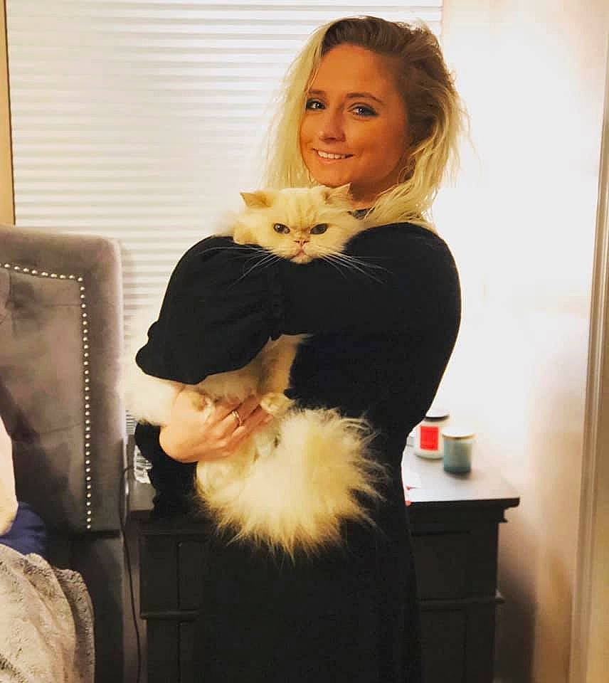 Maurice is registered to the contest to win money with this photo: abdomen, british_longhair, carnivore, cat, domestic_long_haired_cat, fawn, felidae, fur, kitten, long_hair, norwegian_forest_cat, skin, small_to_medium_sized_cats, turkish_angora, turkish_van, whiskers