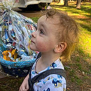 Domenick is registered to the contest to win money with this photo: toddler, child, outdoor, forest, gift_basket, wrapped_gift, picnic_table, curly_hair, side_profile, nature, sunlight, clothing, patterned_shirt, greenery, trees, daylight, expression, looking_up, cute, young_child
