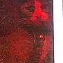 animal, cat, close_up, dark, domestic_animal, dust, feline, fur, glass, indoor, looking_away, mystery, pet, portrait, red_light, reflection, scratches, shadow, whiskers, window