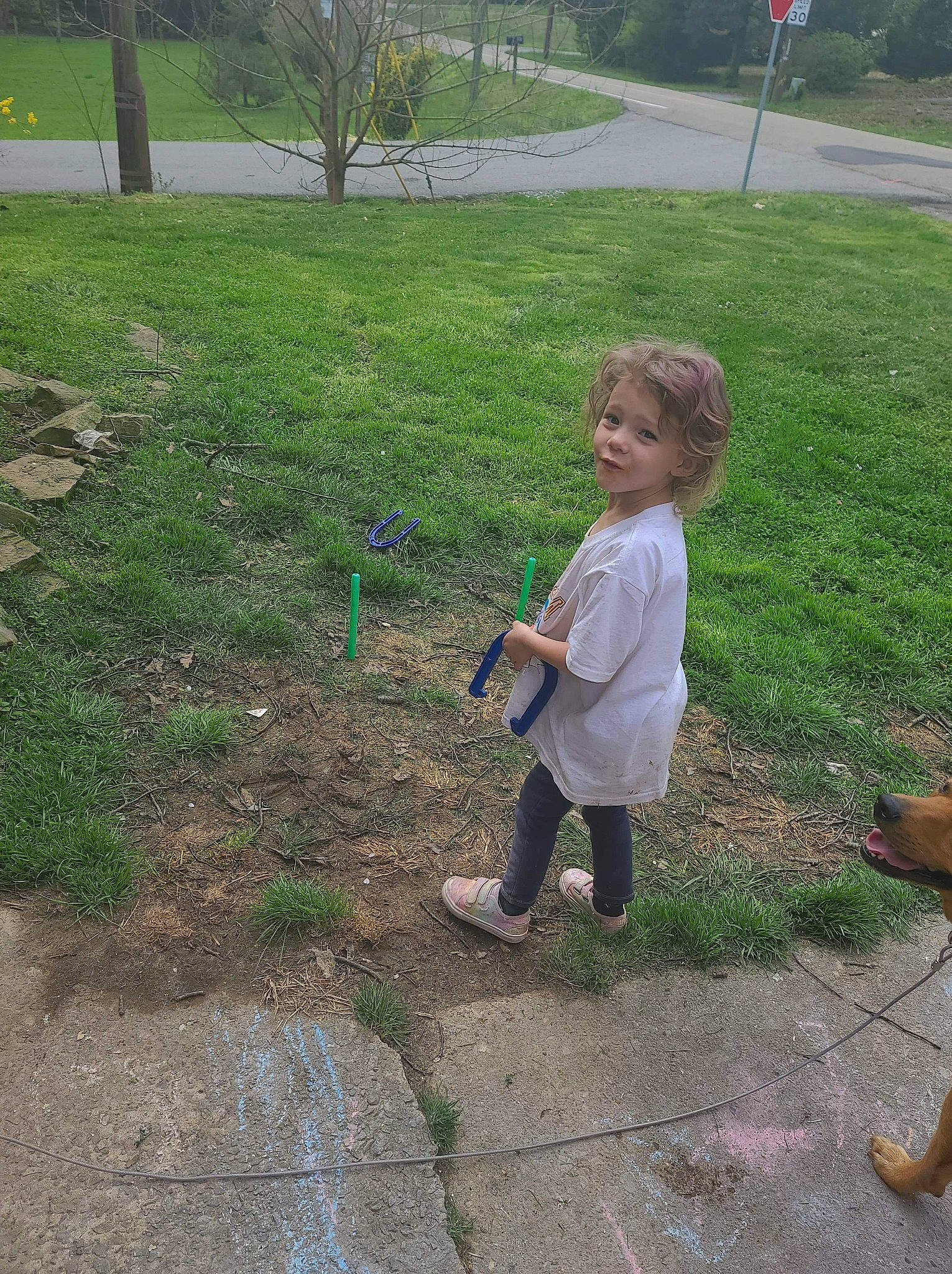 Kinleigh joined the competition — help win amazing prizes! asphalt, botany, child, fun, grass, grass_family, grassland, groundcover, lawn, people_in_nature, person, plant, play, recreation, road_surface, shrub, sidewalk, soil, spring, toddler