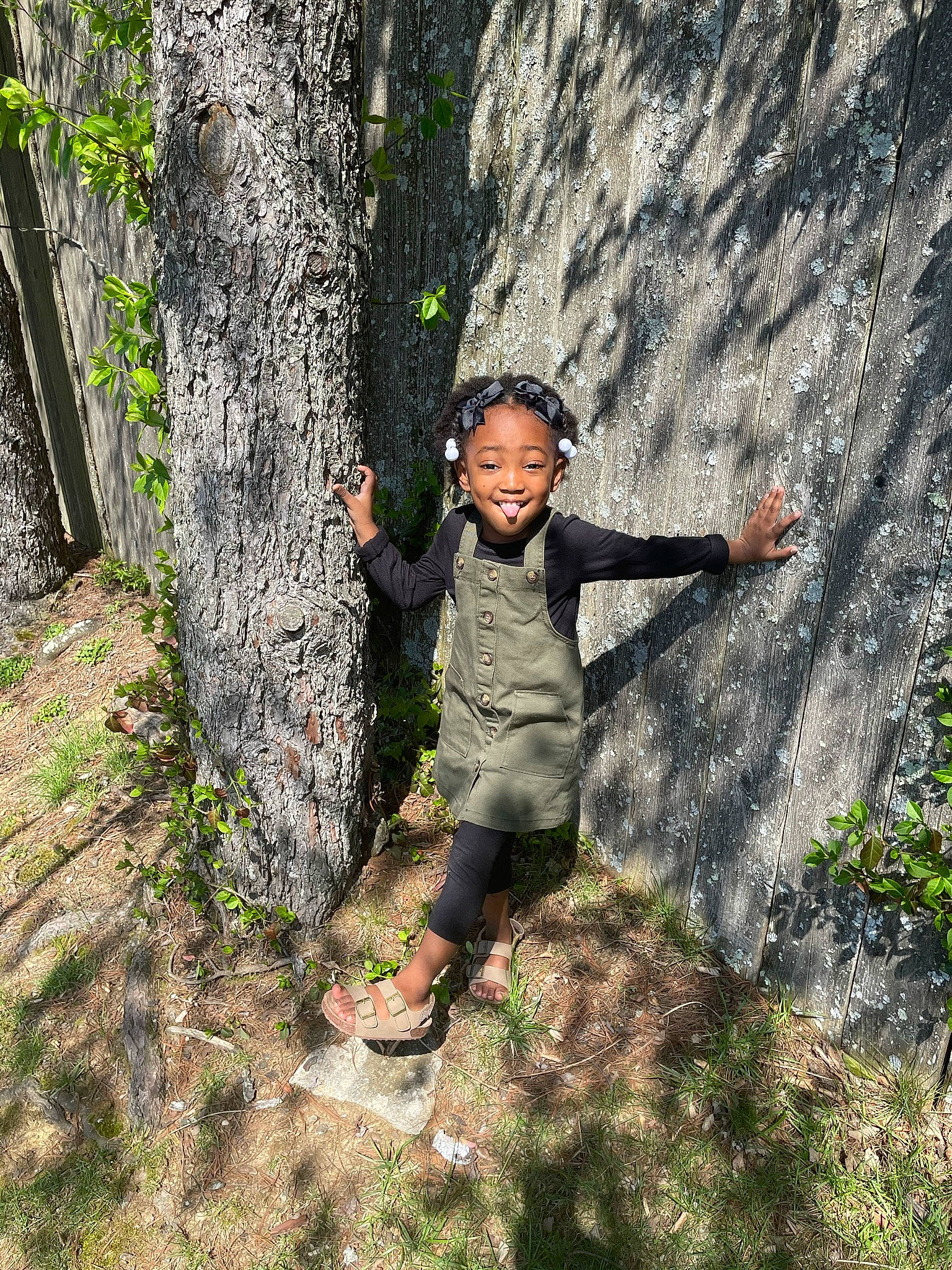 Braxtyn is registered to the contest to win money with this photo: adventure, branch, child, forest, fun, grass, happy, joy, landscape, leisure, people_in_nature, person, plant, recreation, rock, smile, soil, toddler, tree, trunk