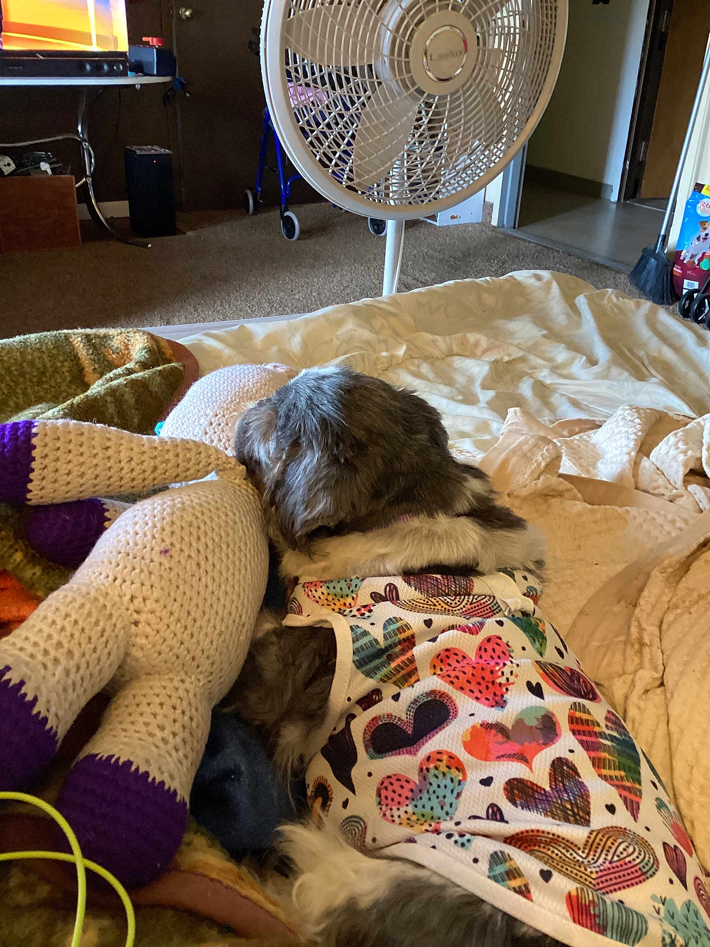 Lulu