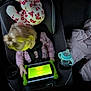 Maria is registered to the contest to win money with this photo: backseat, blonde_hair, car_seat, child, cozy, cup_holder, dim_lighting, glowing_screen, hand, night, pajamas, plush, screen_time, seat_belt, sippy_cup, stuffed_animal, tablet, toddler, toy, travel