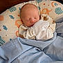 Zachary is registered to the contest to win money with this photo: baby, newborn, sleeping, infant, blanket, pillow, swaddle, mittens, soft_texture, blue_blanket, patterned_pillow, elephant_pattern, hedgehog_pattern, rainbow_pattern, wooden_headboard, portrait, close_up, peaceful, nursery, resting