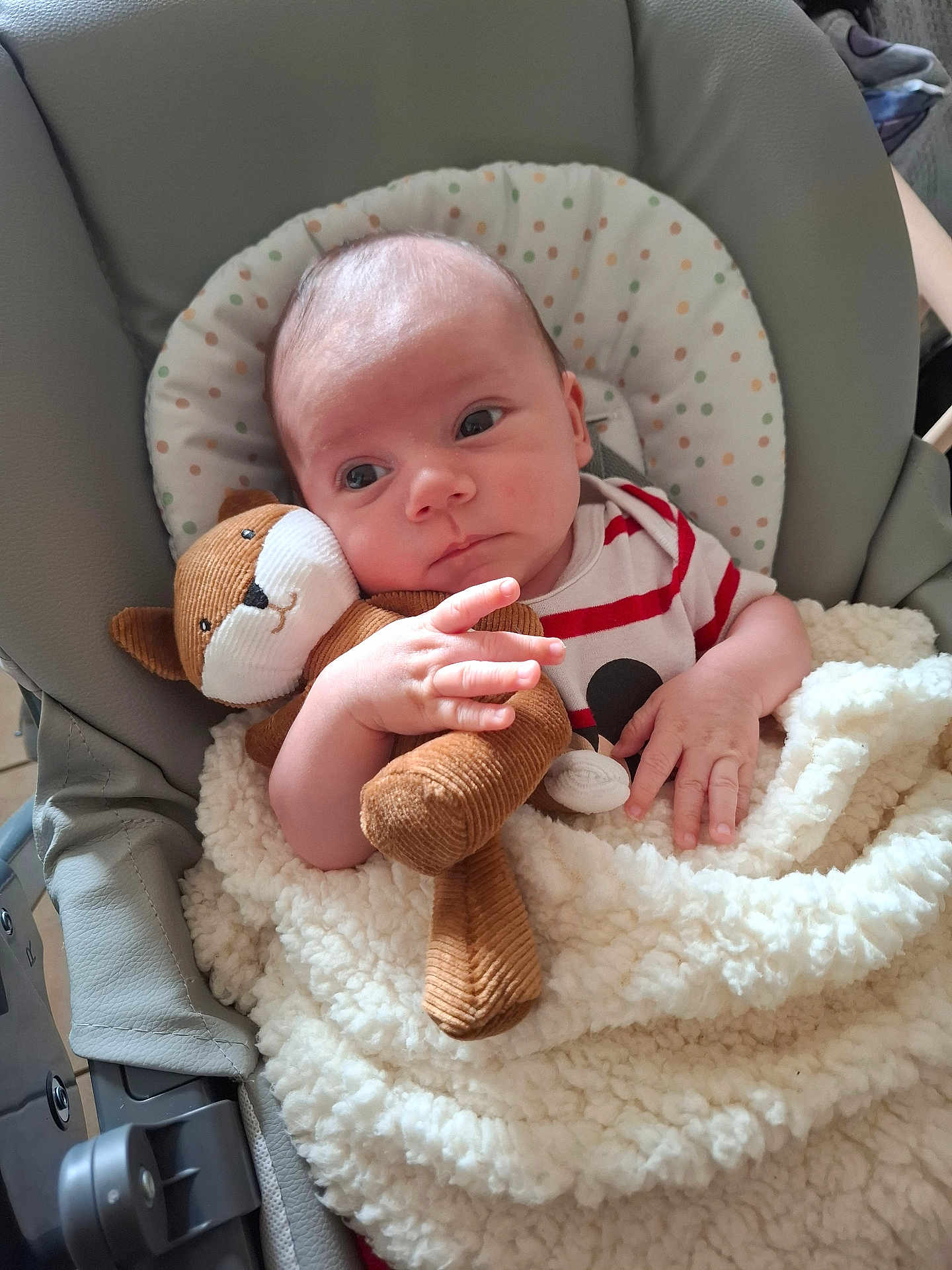 Ryan participe au concours pour gagner de l'argent avec cette photo : baby, infant, plush_toy, fox, blanket, car_seat, clothing, striped_shirt, hand, face, head, soft_texture, indoor, cute, child, person, comfort, resting, cozy, newborn