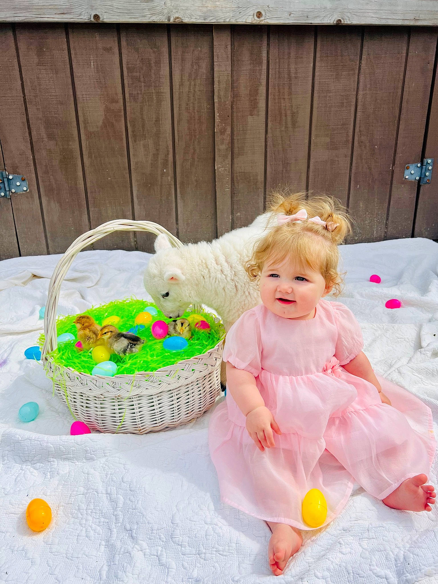 Paisleigh joined the competition — help win amazing prizes! baby, baby_products, baby_toddler_clothing, basket, child, dessert, dress, event, fun, grass, happy, headpiece, joy, linens, peach, person, petal, pink, play, sitting