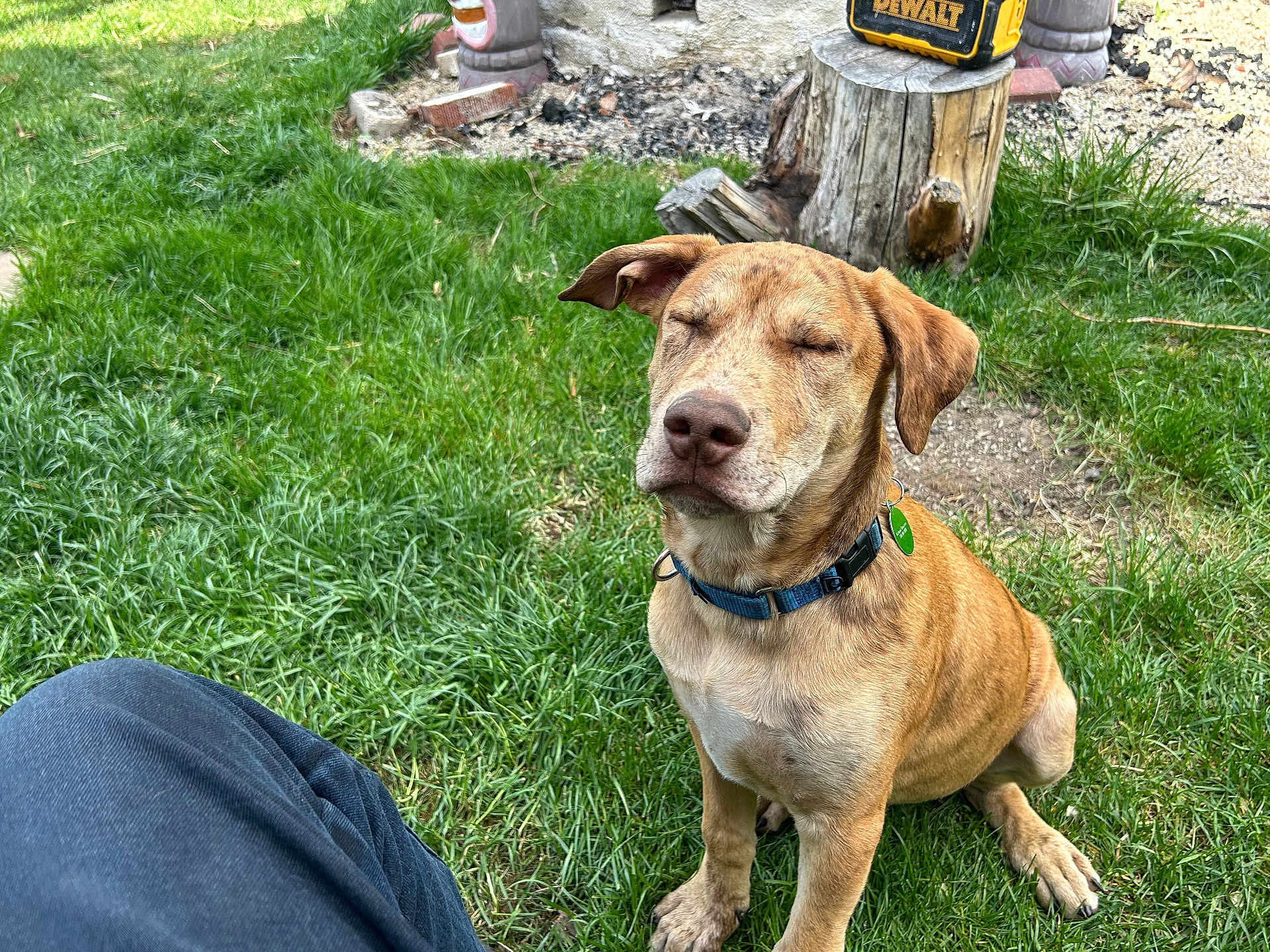 Leo
