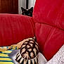 cat, tortoise, red_couch, blanket, indoor, peeking, animal, pet, curious, furniture, shell, striped, cozy, home, living_room, resting, soft_fabric, background, hidden, watching