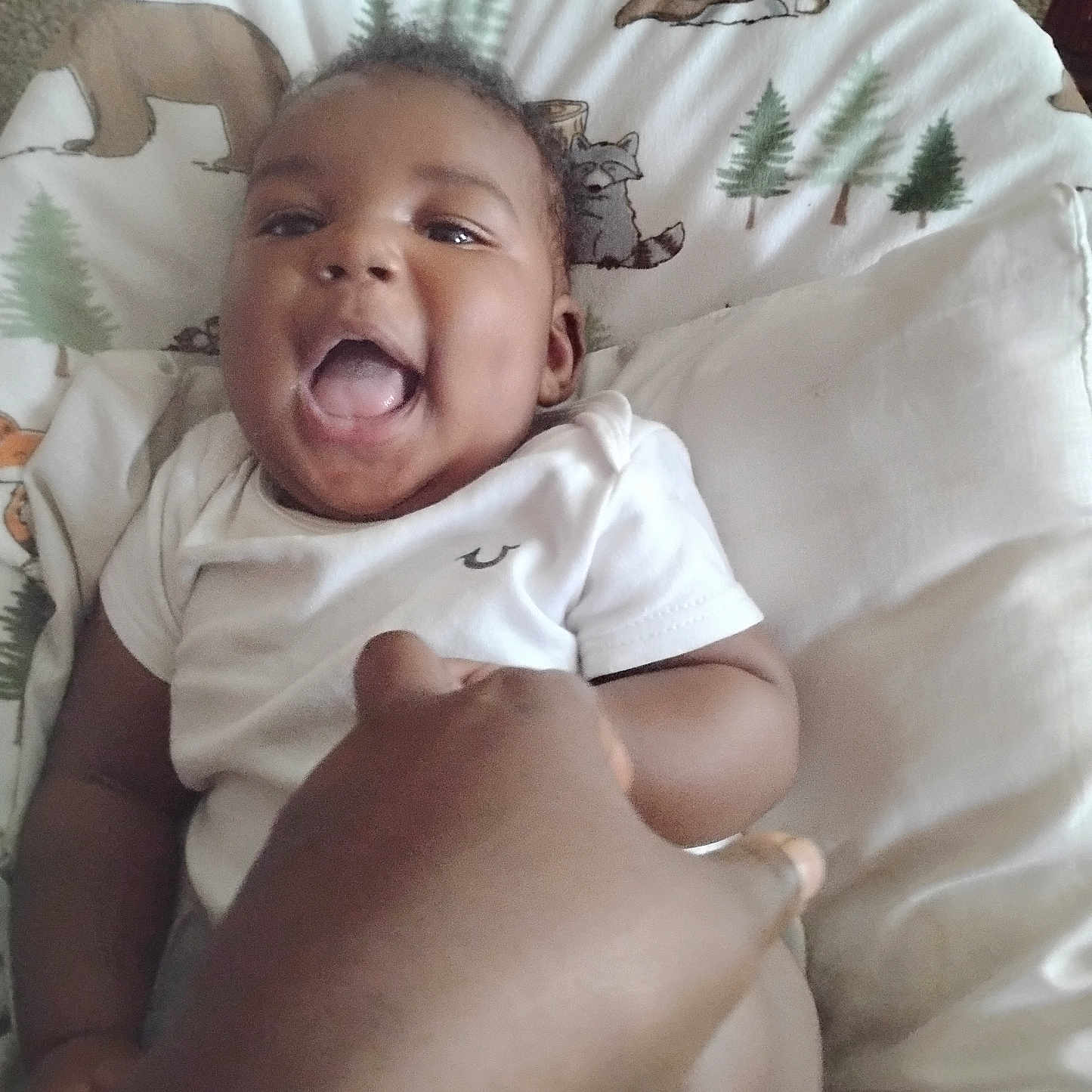 Javontae is registered to the contest to win money with this photo: animal_print, baby, bear, child, comfort, cushion, cute, fabric, hand, happy, indoor, infant, person, pine_tree, playful, raccoon, smiling, soft, toddler, white_clothing