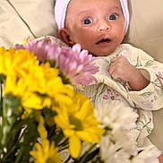 Aarika joined the competition — help win amazing prizes! baby, closeup, curious_expression, cute, floral_outfit, flower_bouquet, hat, headwear, indoor, infant, person, portrait, purple_flowers, skin, small_hands, soft_lighting, striped_hat, white_flowers, yellow_flowers, young_child
