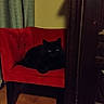 cat, black_cat, pet, animal, feline, sitting, lounging, red_chair, furniture, indoors, home, wooden_cabinet, dark, glowing_eyes, portrait, vertical_photo, curtains, tiled_floor, shadow, cozy
