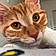 Oliver