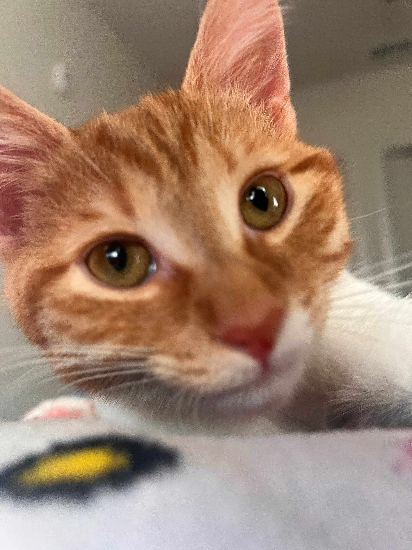 Oliver