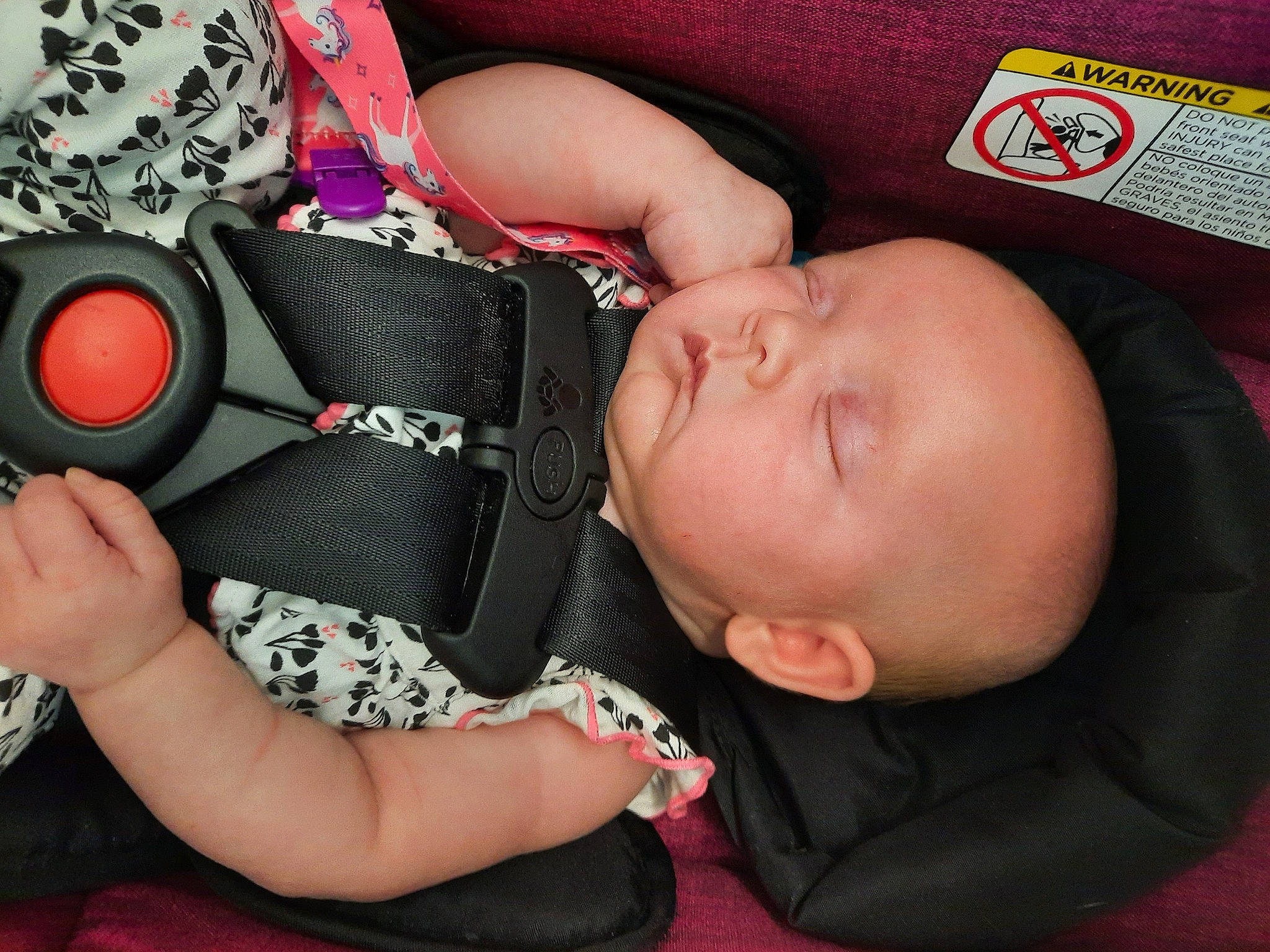 Tahlia is registered to the contest to win money with this photo: arm, baby, baby_carriage, baby_products, car_seat, cheek, child, finger, hand, mouth, nail, nap, person, photography, pink, product, sleep, thumb, toddler