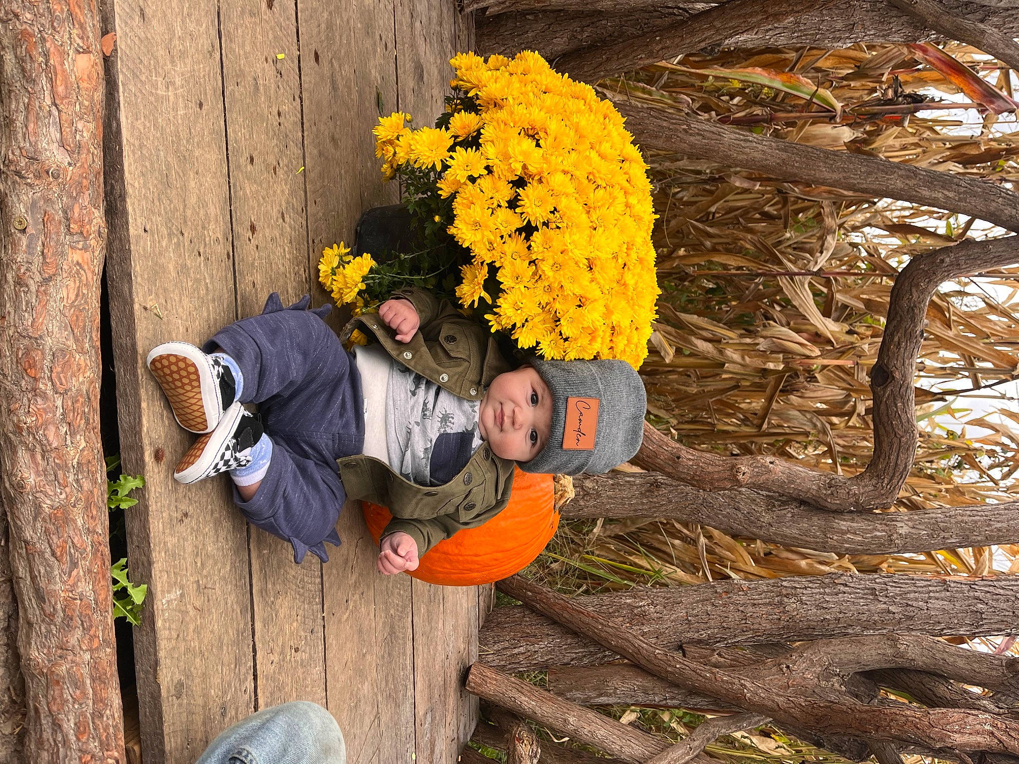 Camden is registered to the contest to win money with this photo: annual_plant, autumn, flower, flowering_plant, fun, grass, happy, hat, headwear, landscape, leisure, people_in_nature, person, petal, plant, rock, sitting, sunflower, t_shirt, tree