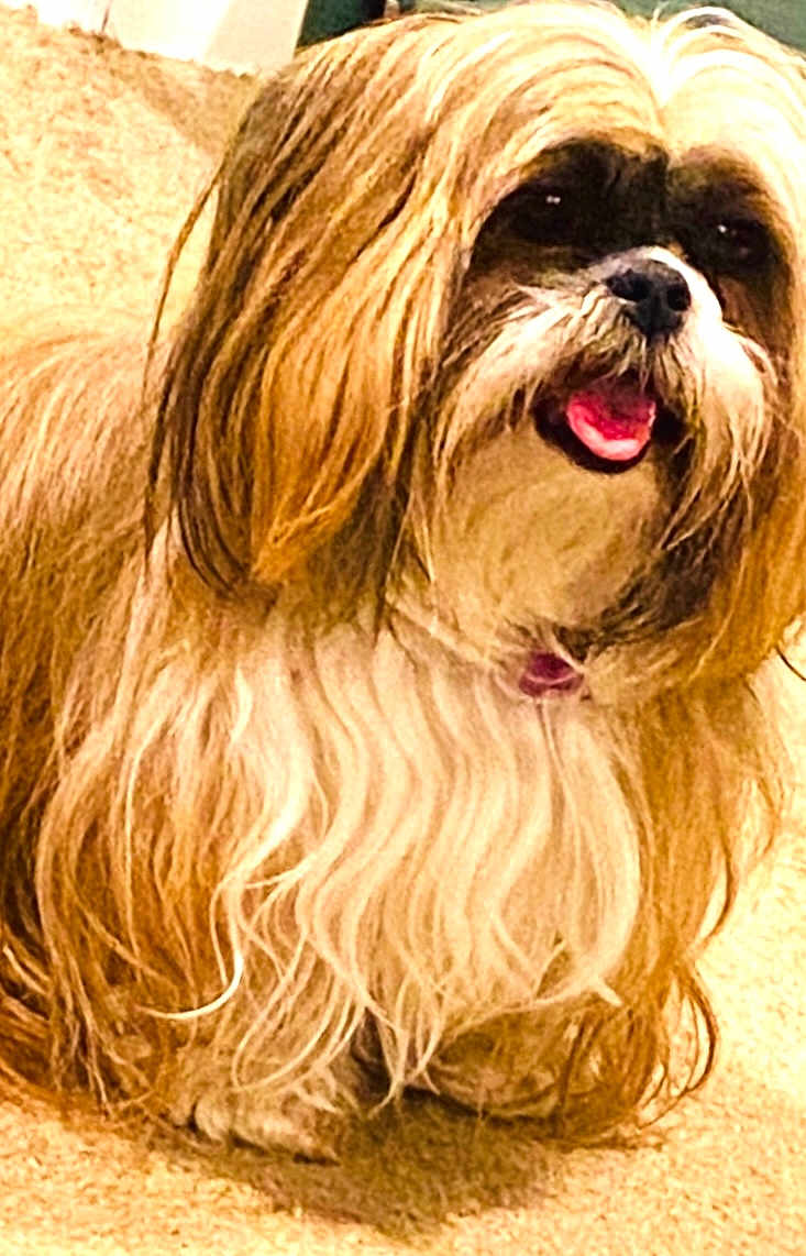 Pepper