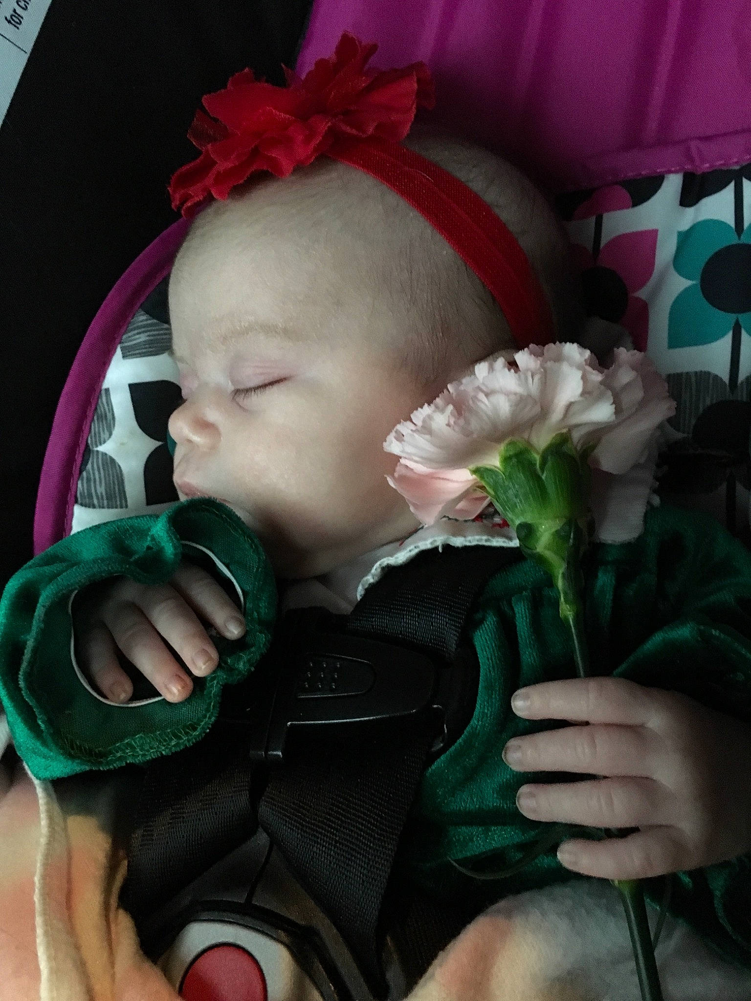 Miracle is registered to the contest to win money with this photo: baby, cheek, child, finger, flower, hair_accessory, hand, head, mouth, person, petal, pink, plant, toddler