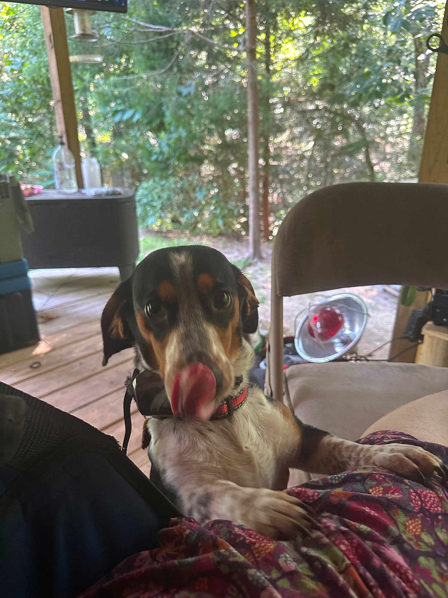 Otis