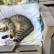 Tekno participe au concours pour gagner de l'argent avec cette photo : animal, cat, chair, comfortable, cozy, cushion, domestic_cat, feline, nap, natural_light, outdoor, patterned_cloth, peaceful, pet, relaxing, resting, sleeping, striped, tabby, wooden_deck