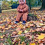 toddler, child, autumn, leaves, tree_stump, outdoor, forest, nature, fall_season, hooded_jacket, orange, brown, grass, trees, fence, footwear, cute, curious, seasonal, park
