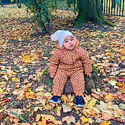 Celia Kenza participe au concours pour gagner de l'argent avec cette photo : toddler, child, autumn, leaves, tree_stump, park, outdoor, fall, nature, hat, jacket, footwear, ground, tree, fence, curious, seasonal, clothing, baby, casual
