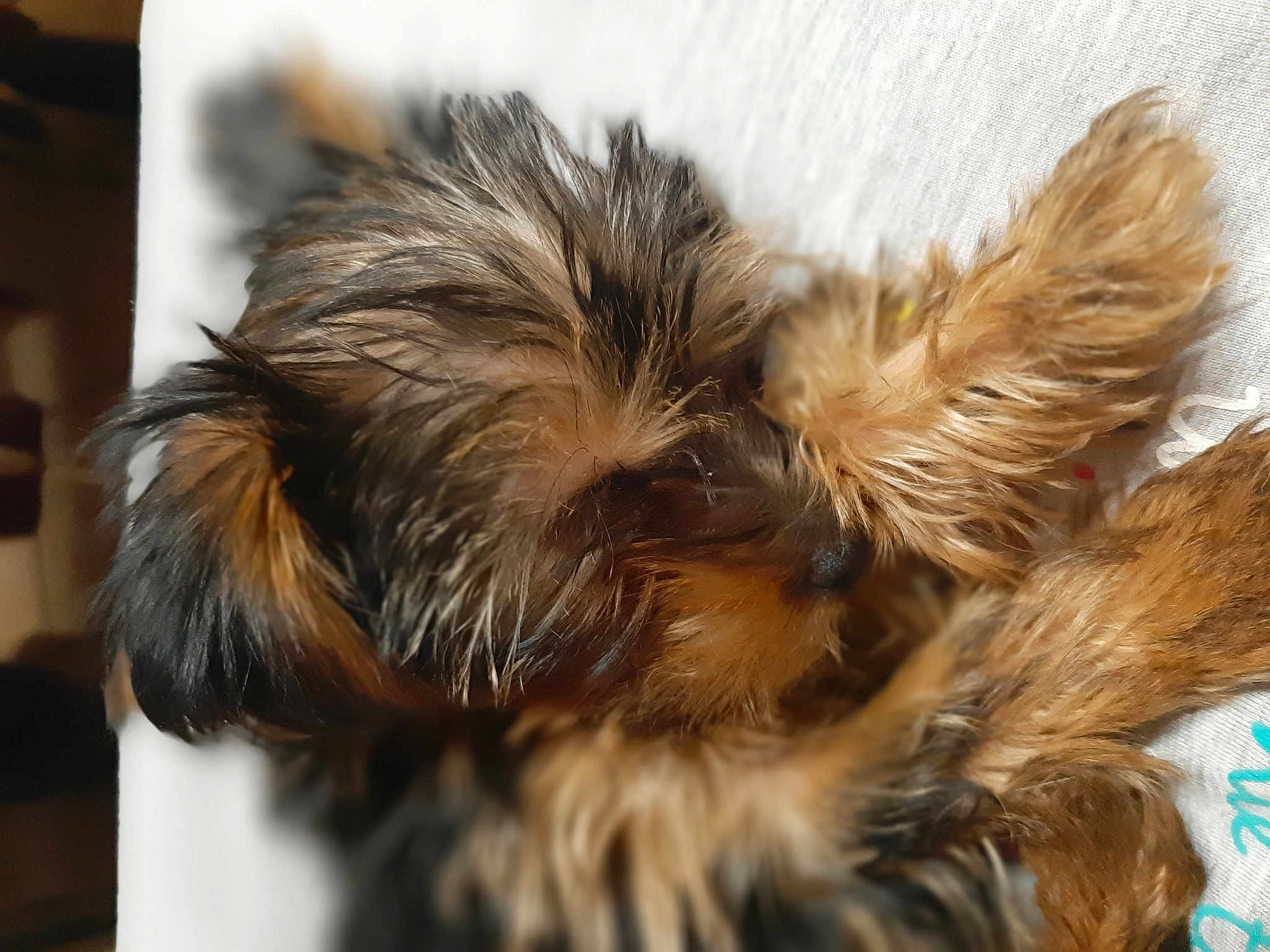 Pimkie