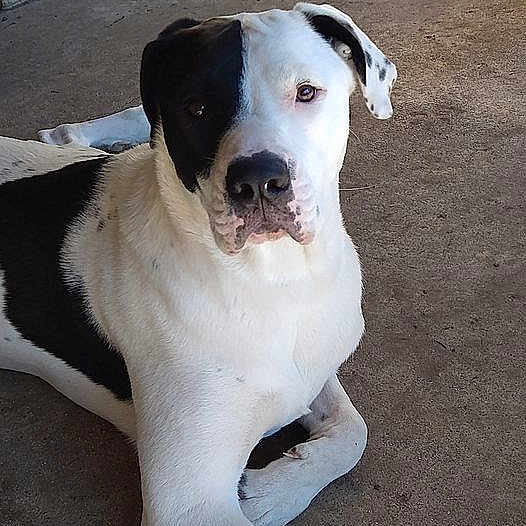 Tucker