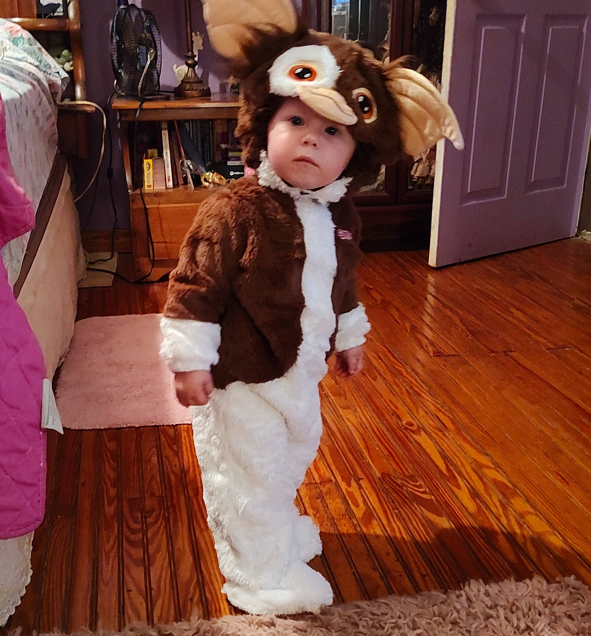 Winter joined the competition — help win amazing prizes! baby_toddler_clothing, child, costume, door, event, fashion_design, fawn, flooring, formal_wear, fun, fur, fur_clothing, hardwood, headwear, pattern, peach, person, pink, room, sleeve