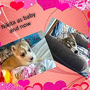 Nikita Rose joined the competition — help win amazing prizes!