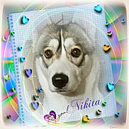 Big Boy Daytona is registered to the contest to win money with this photo: