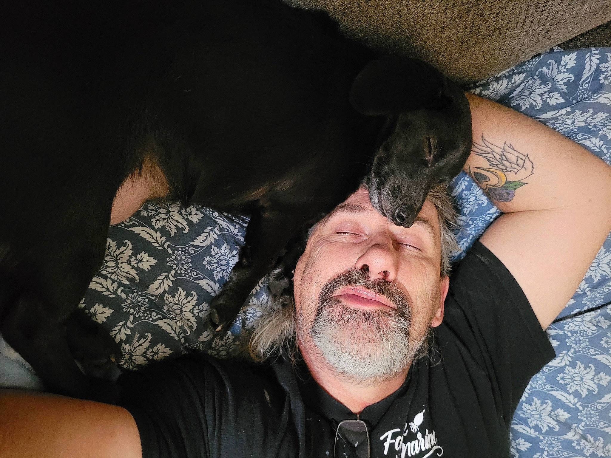 Stokely joined the competition — help win amazing prizes! beard, black_hair, chest, comfort, cool, ear, elbow, eyelash, facial_hair, finger, flash_photography, gesture, jaw, mouth, muscle, neck, shoulder, t_shirt, textile, trunk