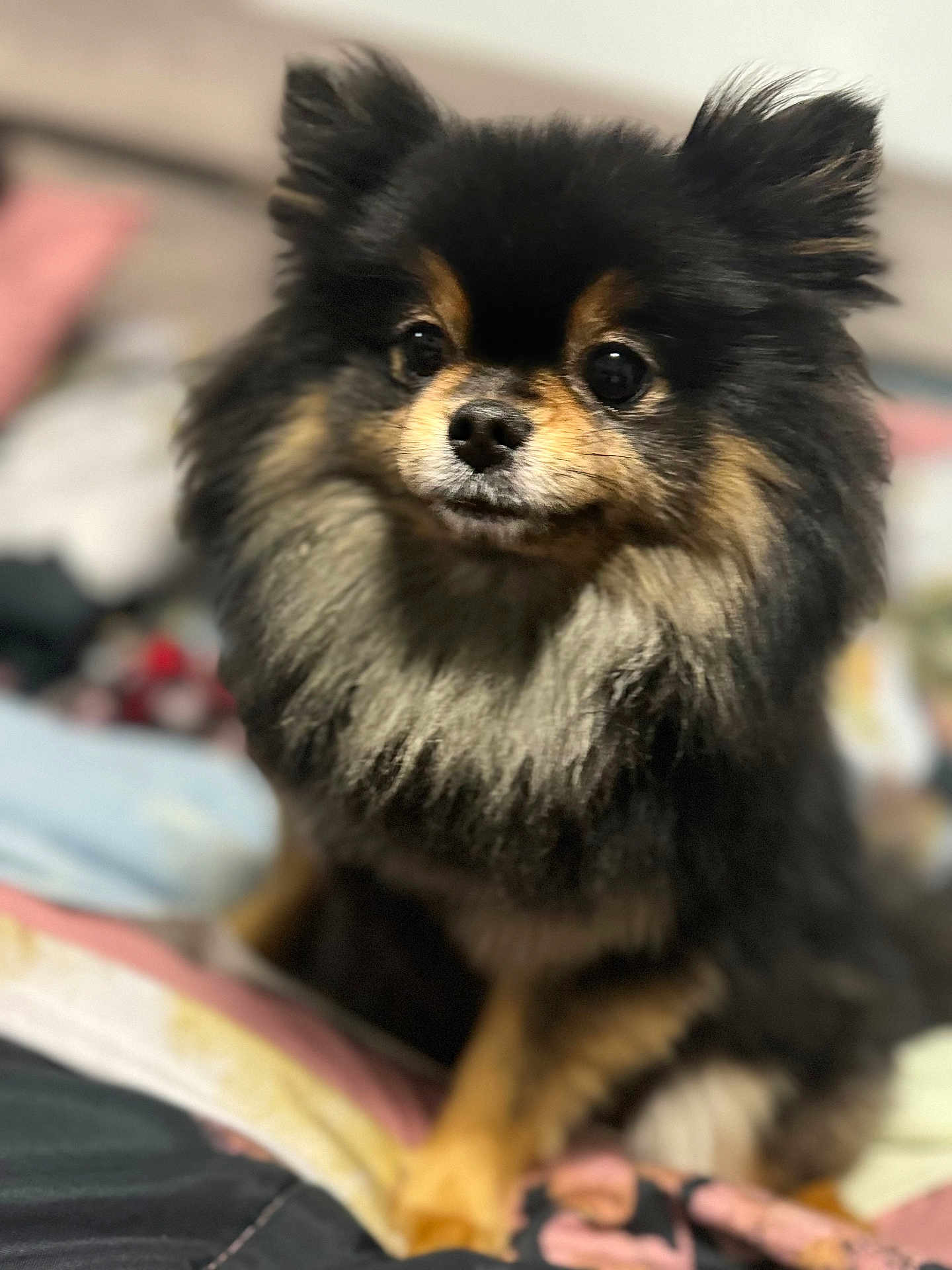 Mila