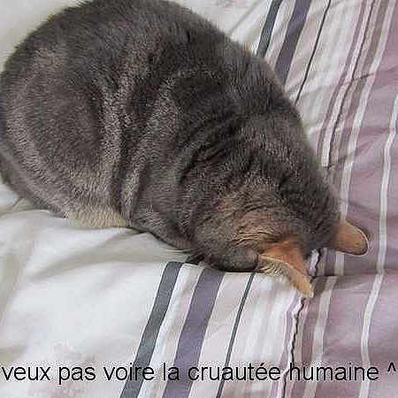 Cox
