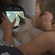 Elfie joined the competition — help win amazing prizes! boy, child, cat, tablet, bed, blanket, headboard, indoor, playing, technology, pet, feline, screen, touchscreen, cozy, hand, side_profile, ears, bare_torso, cuddle