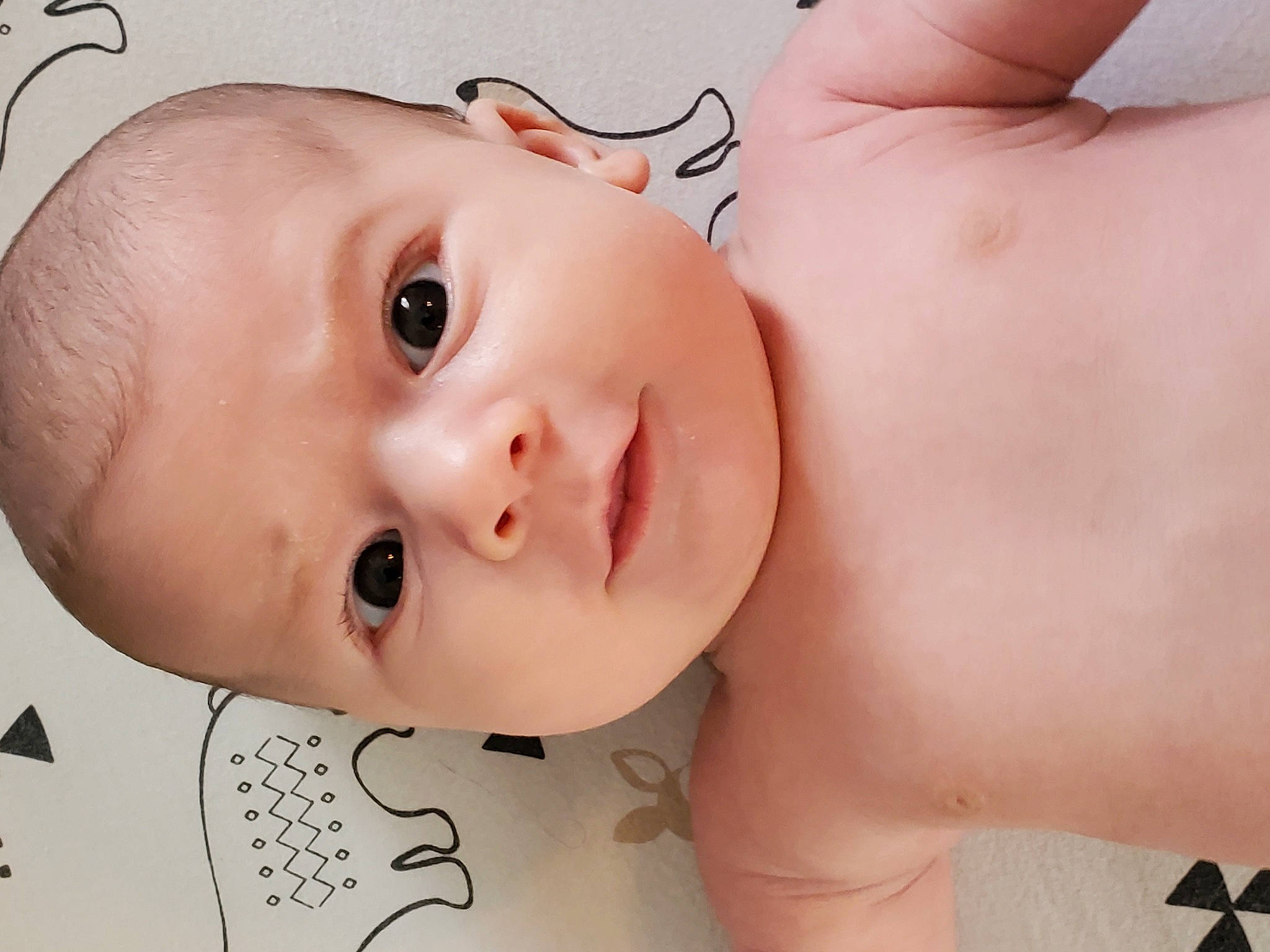 Ewan is registered to the contest to win money with this photo: baby, cheek, chin, ear, eye, eyebrow, eyelash, face, facial_expression, forehead, gesture, happy, head, iris, lip, mouth, neck, nose, person, product
