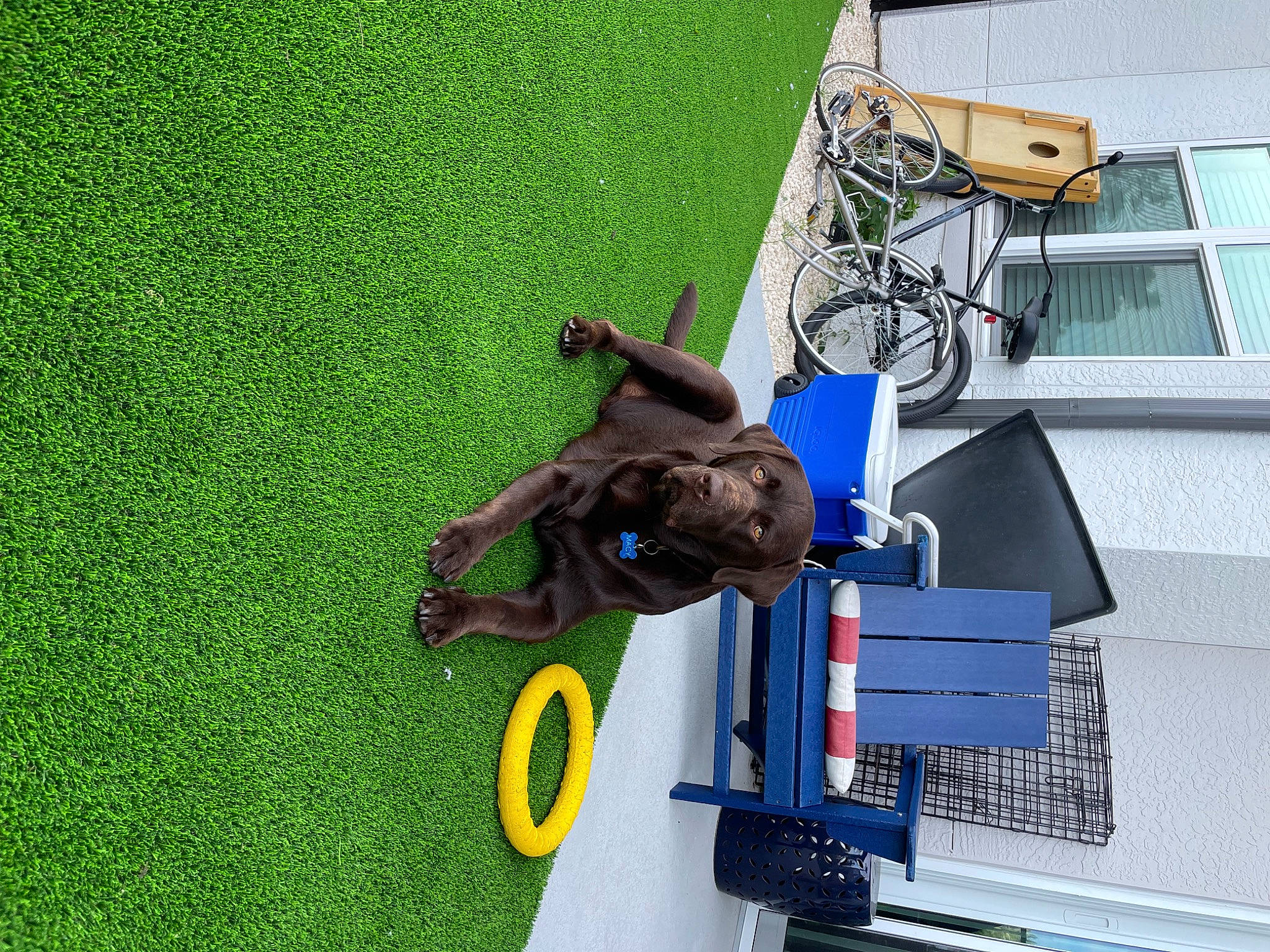 Macy is registered to the contest to win money with this photo: automotive_tire, automotive_wheel_system, bicycle, bicycle_accessory, bicycle_fork, bicycle_frame, bicycle_handlebar, bicycle_tire, bicycle_wheel, grass, green, groupset, leisure, machine, mode_of_transport, motor_vehicle, recreation, tire, vehicle, wheel