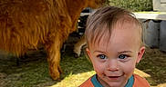 Enzo is registered to the contest to win money with this photo: child, toddler, blue_eyes, orange_shirt, text_on_clothing, cow, highland_cow, hay, barn, animal, fence, metal_walls, sunlight, shadow, smile, curly_hair, indoor, daylight, cute, portrait