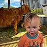 child, toddler, blue_eyes, orange_shirt, text_on_clothing, cow, highland_cow, hay, barn, animal, fence, metal_walls, sunlight, shadow, smile, curly_hair, indoor, daylight, cute, portrait
