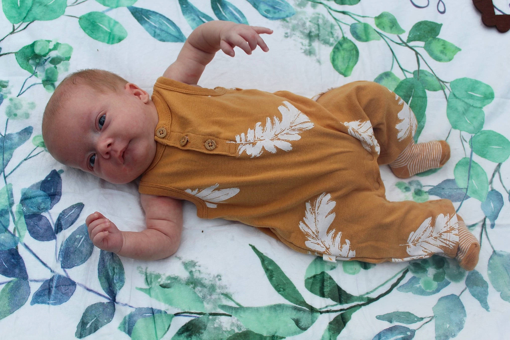 Malachite joined the competition — help win amazing prizes! abdomen, baby, baby_products, baby_toddler_clothing, child, comfort, grass, green, happy, leaf, leisure, linens, pattern, people_in_nature, person, plant, sitting, skin, sleeve, textile