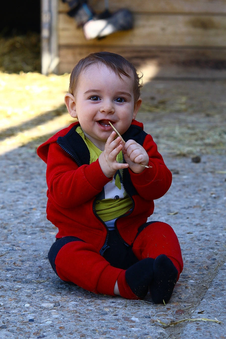 Nolan participe au concours pour gagner de l'argent avec cette photo : baby, baby_toddler_clothing, cheek, child, cobblestone, eye, flooring, fun, grass, happy, joy, leisure, people_in_nature, person, portrait_photography, recreation, road_surface, sitting, sleeve, smile