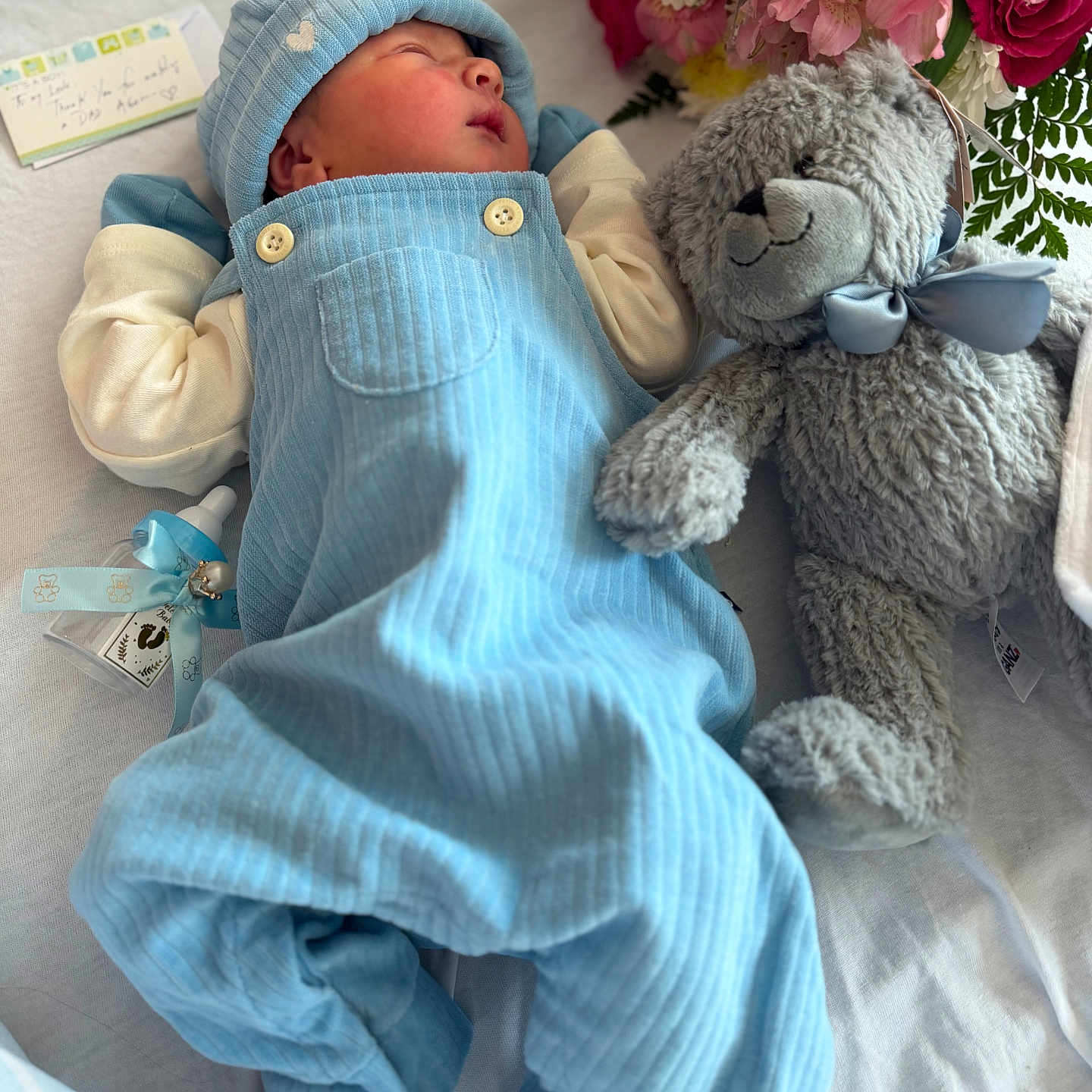 Taher is registered to the contest to win money with this photo: newborn, baby, infant, sleeping, portrait, blue_outfit, overalls, bonnet, teddy_bear, stuffed_animal, flowers, bouquet, bed, blanket, nursery, indoors, peaceful, cuddly, family_photo, closeup