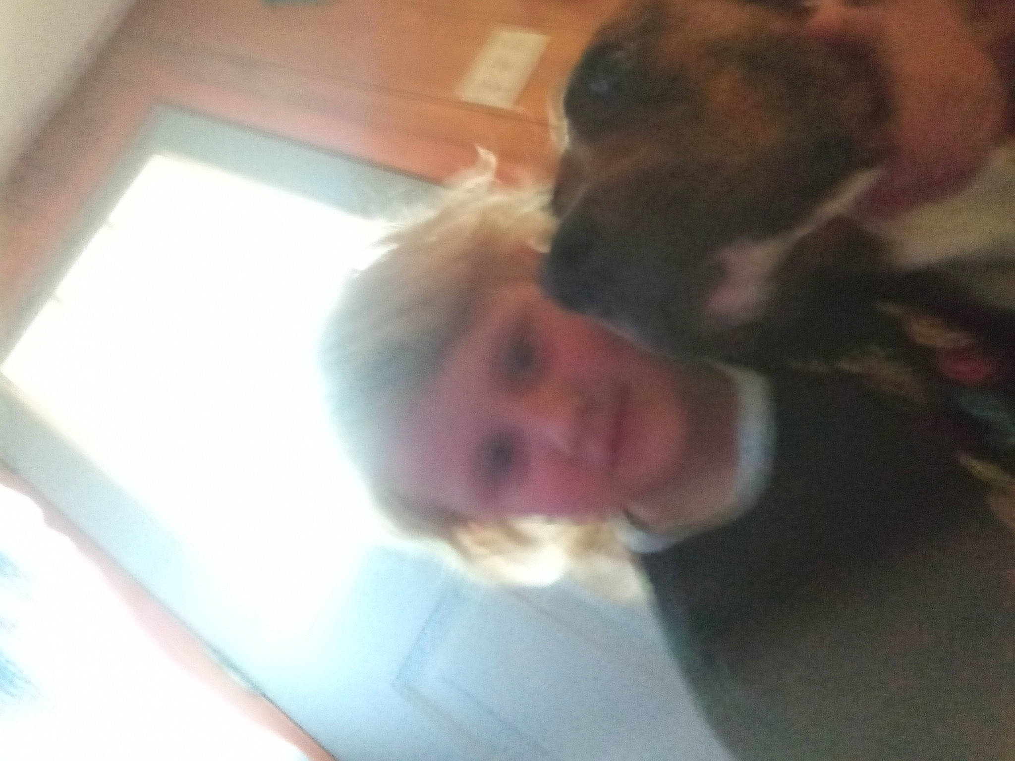 Purity is registered to the contest to win money with this photo: canidae, chin, companion_dog, dog_breed, fun, fur, gesture, guard_dog, happy, jaw, laugh, mouth, nose, person, selfie, smile, sporting_group, toddler, working_animal