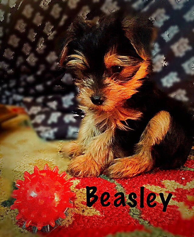 Beasley