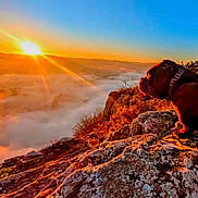 Raya participe au concours pour gagner de l'argent avec cette photo : dog, sunrise, rock, mountain, nature, landscape, clouds, sky, outdoor, scenic, sun, collar, animal, pet, morning, view, horizon, hill, wildlife, serene