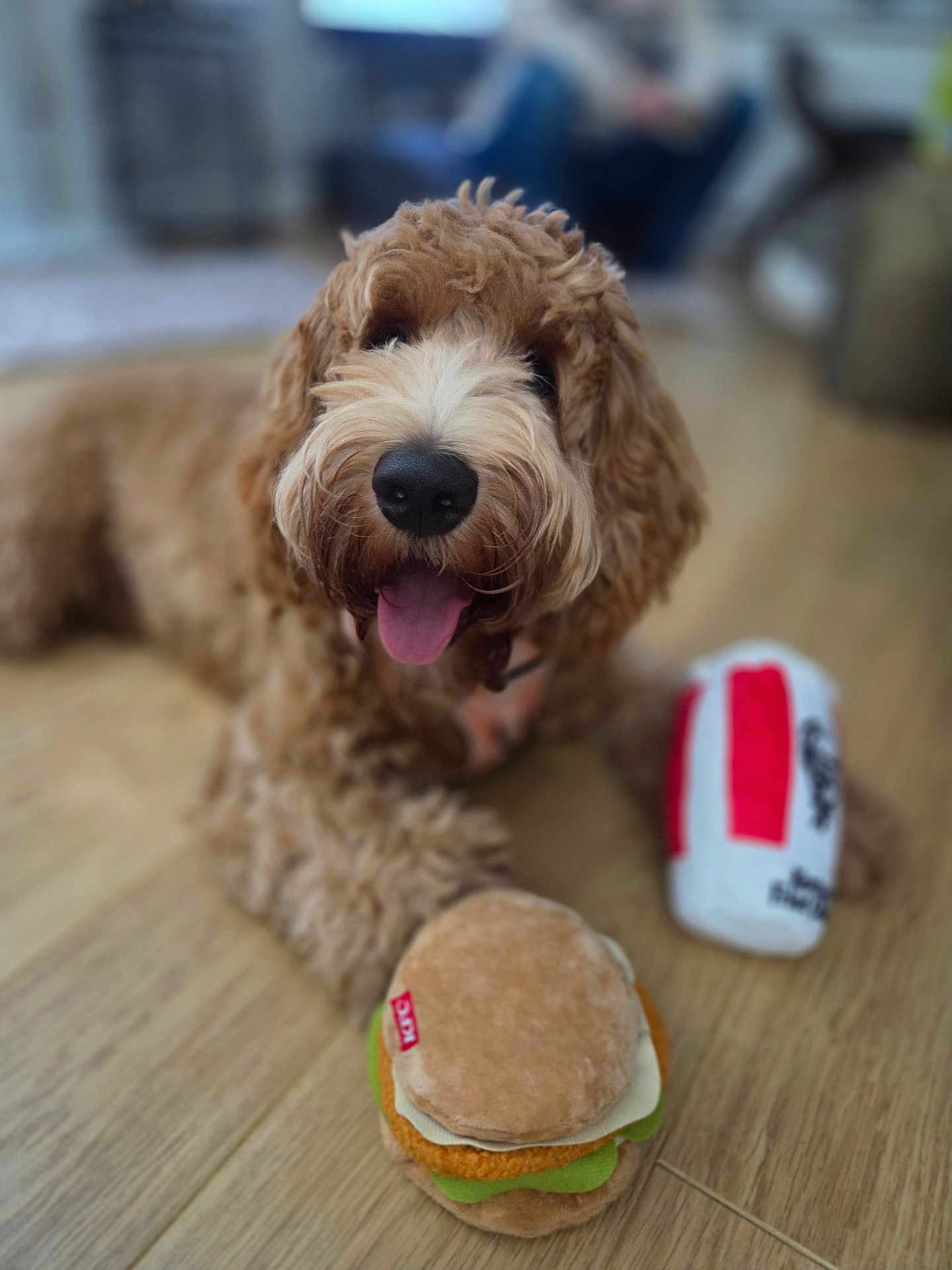 Bailey is registered to the contest to win money with this photo: dog, brown_dog, curly_fur, pet, indoor, wooden_floor, toy, plush_toy, hamburger_toy, drink_toy, happy, tongue_out, close_up, animal, cute, playful, domestic, canine, floor, laying_down