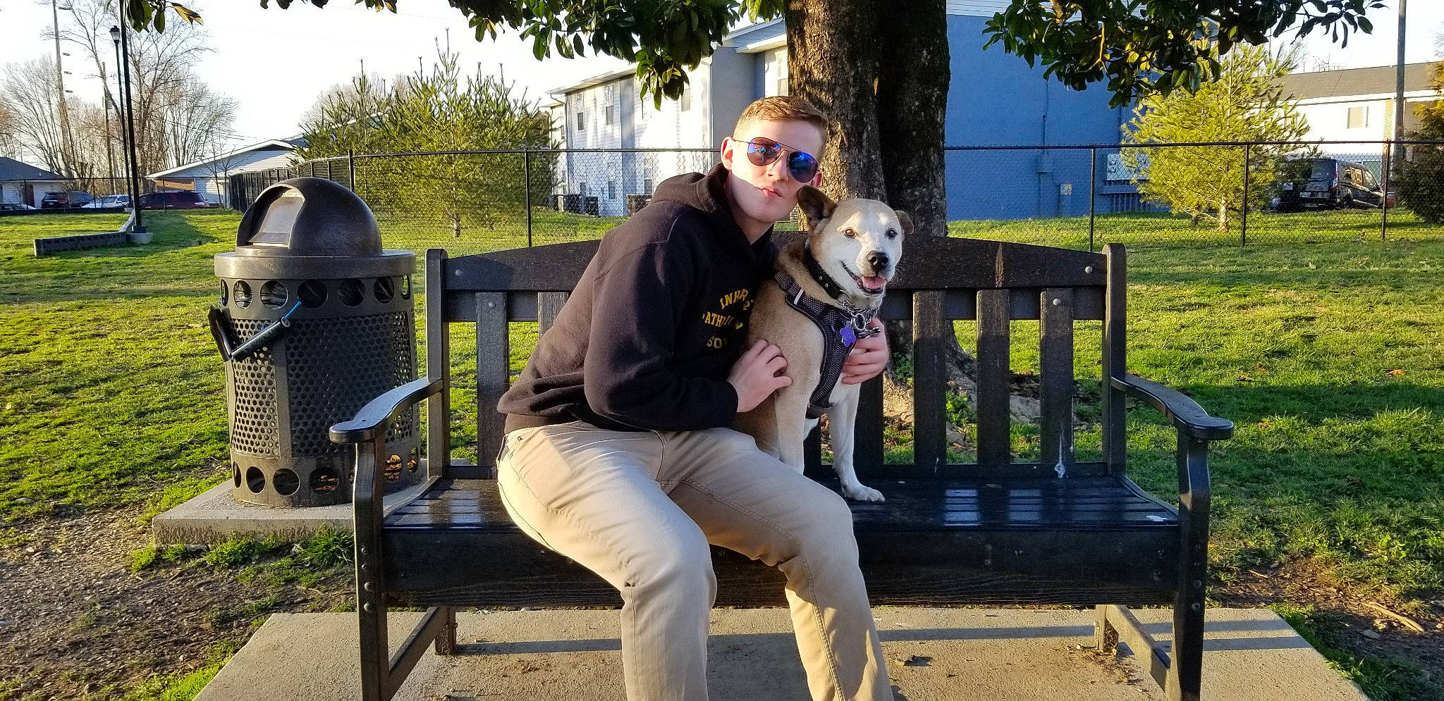 Skippy is registered to the contest to win money with this photo: bench, carnivore, companion_dog, dog, dog_breed, eyewear, fawn, fence, football, fun, grass, happy, leisure, people, plant, recreation, sitting, smile, sunglasses, tree