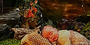 Harley is registered to the contest to win money with this photo: baby, blanket, child, cozy, cushion, flowers, greenery, infant, knitted, nature, outdoor, peaceful, plant, portrait, relax, rest, scenery, sleeping, soft, wood