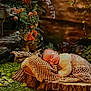 baby, sleeping, blanket, wood, greenery, flowers, nature, cozy, infant, rest, peaceful, portrait, child, soft, knitted, outdoor, plant, scenery, cushion, relax